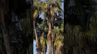 2384 1016493 mp3 2384 1016493 mp3