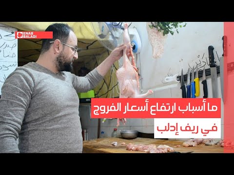 ما أسباب ارتفاع أسعار الفروج في ريف إدلب؟