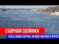 🔴СБОРНАЯ СОЛЯНКА 🔴УЧЕБА, НОВАЯ КАРТИНА, МЕЛКИЕ ПОКУПКИ И ПРОЧЕЕ