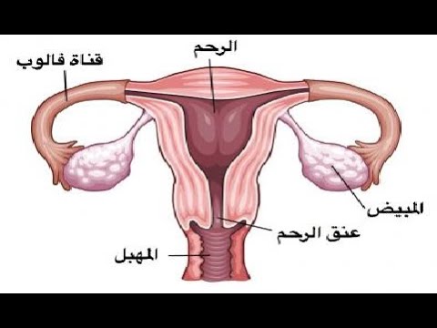 علوم 1متوسط  اتذكر واتساءل ص 122و123