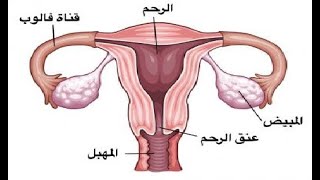 علوم 1متوسط  اتذكر واتساءل ص 122و123