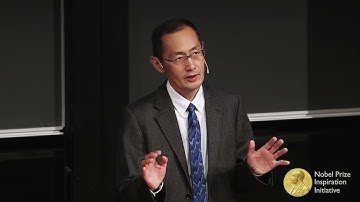 Scientist Stories: Shinya Yamanaka, Pioneer in Induced Pluripotent Stem Cells