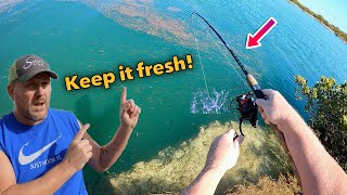 Catch now, cook later.. Florida keys land fishing! 