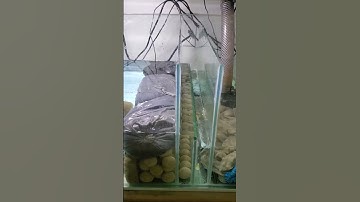 quick silent sump vid