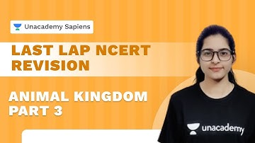 Last Lap NCERT Revision | Animal Kingdom : Part - 3 | Biology | Dr. Pranali Mishra|Unacademy Sapiens