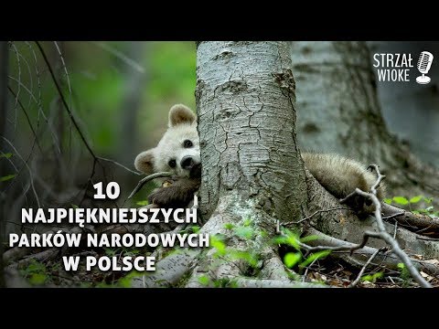 Wideo: Top 10 parków narodowych do odwiedzenia wiosną