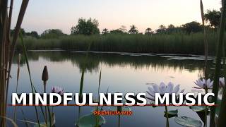 Calm River Reflections  Healing Music for the Soul