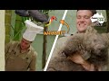 Chef Chandler preps a wombat&#39;s breakfast | Australia Zoo Life