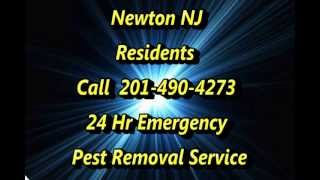24 Hr Emergency Pest Control Newton NJ Call (862) 701-2076