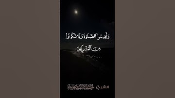 تلاوة مختارة من سورة الروم