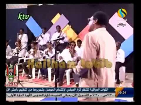 محمد ميرغني لو كان عصيت أمرك أنا