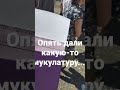 Опять какую-то бумажку дали #shorts #2022 #лето #абзурд68