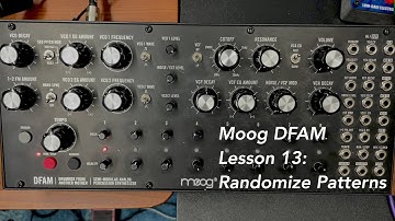Moog DFAM percussion synthesizer tutorial Lesson 13: How to Randomize Patterns