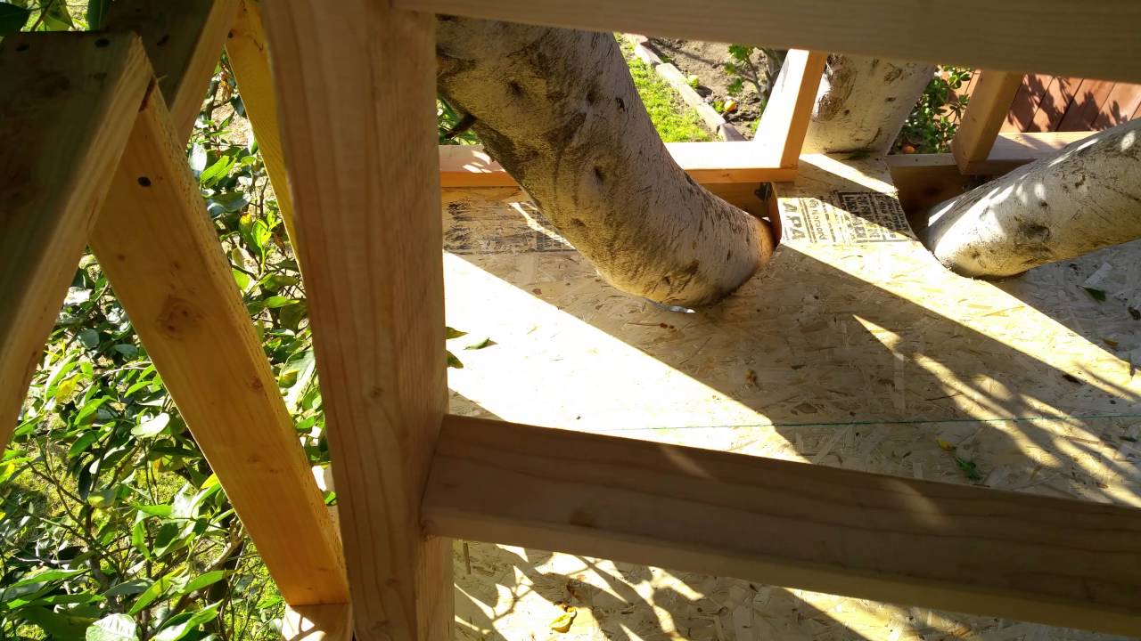 Project Treehouse - May 30, 2016 - 2 of 2 - YouTube