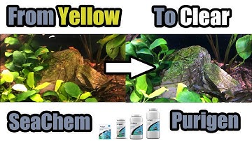 SeaChem Purigen WERKT! | Videobewijs!