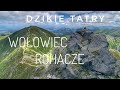 Dzikie Tatry - Wołowiec i Rohacze