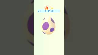 10Km Eggs Are Goated