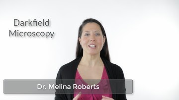 Darkfield Microscopy