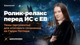 картинка: Ролик-релакс перед ИС с ЕВ: темы (аргументы) для итогового сочинения из Гарри Поттера