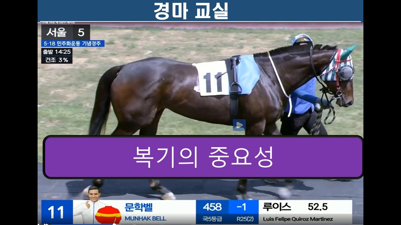 경마교실/ 경마 복기/경마분석/ 경마공부/ 경마예상