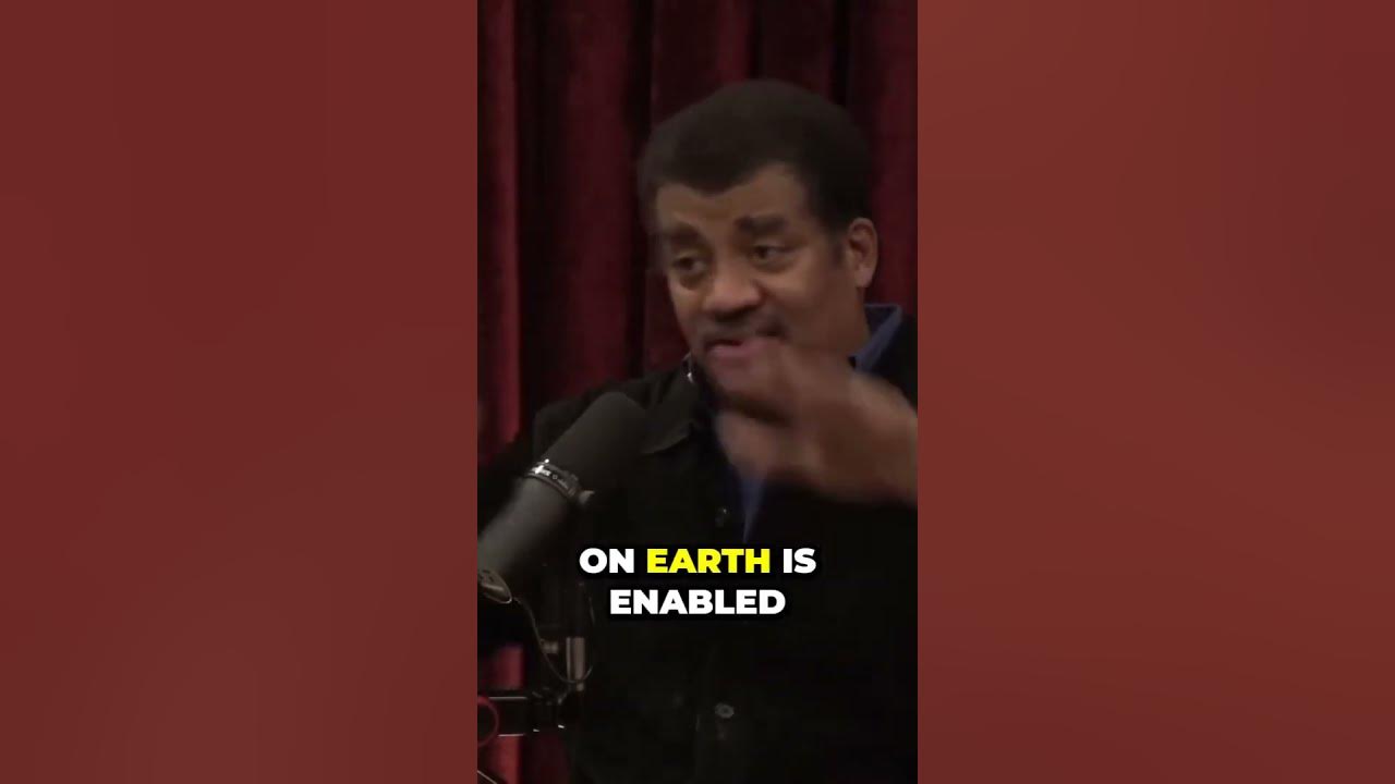the Shocking Connection Between Humans and Mushrooms with Joe Rogan and