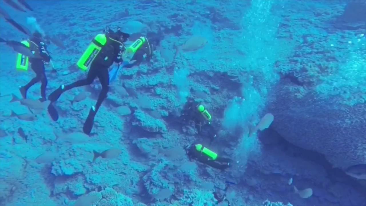 [Vlog] Mergulho na Polinésia