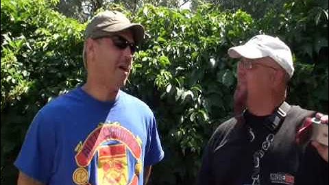 Less Than Jake Interview with Groovey.tv