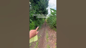 Bán nhà vườn trái cây 3.200m2 có 200m thổ cư Cực Đẹp