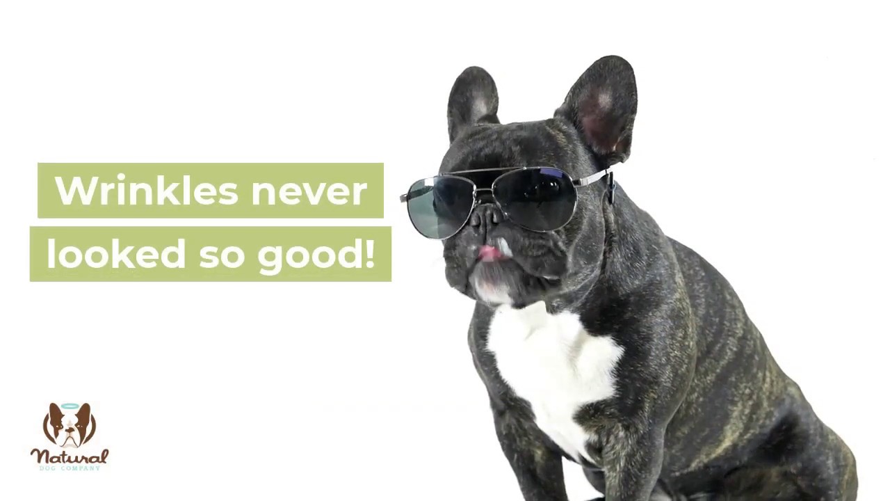 natural dog wrinkle balm