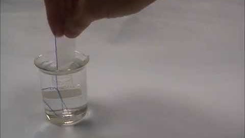 Shape memory effect in overhead transparency