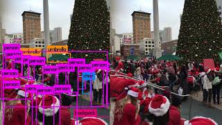 Multiple Object Detection