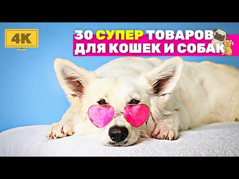 ЗООТОВАРЫ для домашних животных с Алиэкспресс | Полезные товары для собак и кошек с AliExpress