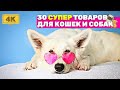 ЗООТОВАРЫ для домашних животных с Алиэкспресс | Полезные товары для собак и кошек с AliExpress