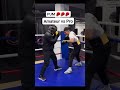 AMATEUR Vs PRO Sparring Boxing Shorts mp3