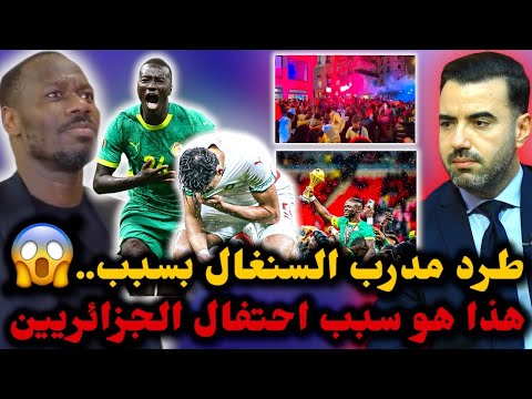 كارثة طرد مدرب السنغال من الندوة الصحفية هذا هو سبب احتفال الجزائريين بعد تتويج السنغال