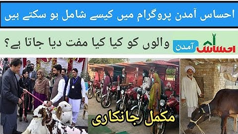 Ehsaas Amdan Main Shamil hony ka Tariqa - Ehsaas Amdan Program Complete Detail - Ehsaas Program