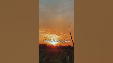 قال اسلمت لرب العالمين | اويس عبدالفتاح | تلاوة تقشعر لها الأبدان 🥹❤️❤️ #القرآن_الكريم