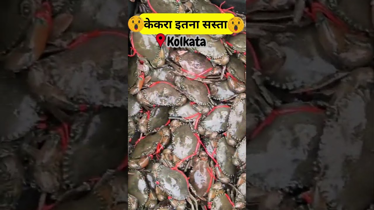 CRAB IN KOLKATA 🔥🔥🔥🤫🤫🤫||Fish farming Business in India 