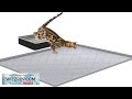 Cat Mat for Litter Box Large 35" X 22" Cat Litter Mat