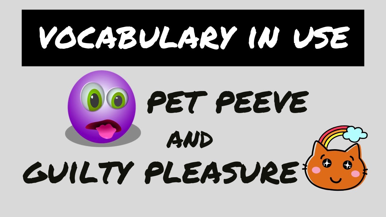 Pet Peeves Guilty Pleasures Learn English Vocabulary In Use Youtube