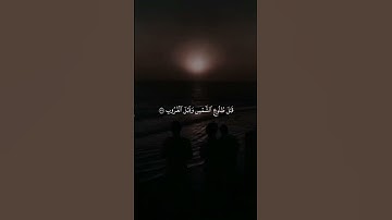القارئ : عبد الله الموسي