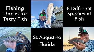Fishing Docks in St. Augustine, FL for Tasty Fish -- 8 Different Species of Fish!!!