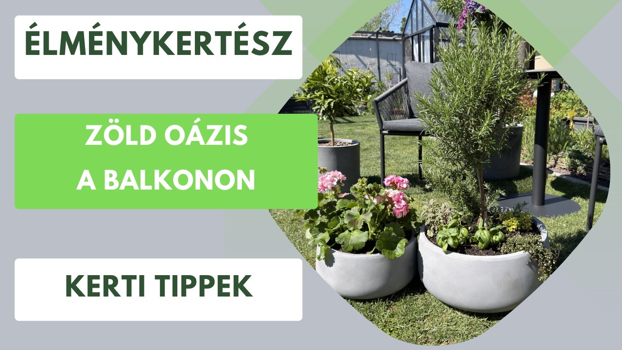 Színes balkon, tele növényekkel🌼