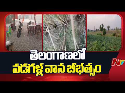 తెలంగాణలో వడగళ్ల వాన బీభత్సం | Heavy Rains in Telangana | NTV Telugu - NTVTELUGU