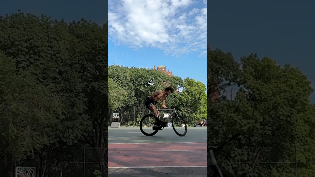 Fixed Gear - 12 Piece Fish and Chips