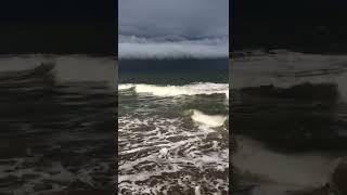 Dogs jumping waves in Dewey Beach under a shelf cloud a way of life