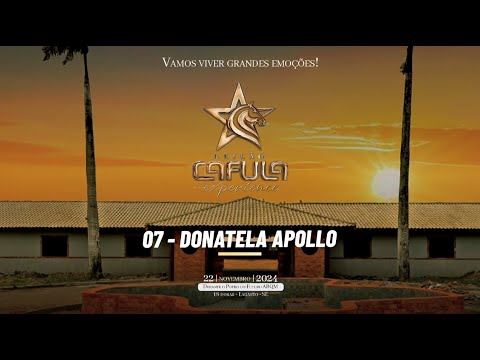 007 - DONATELA APOLLO