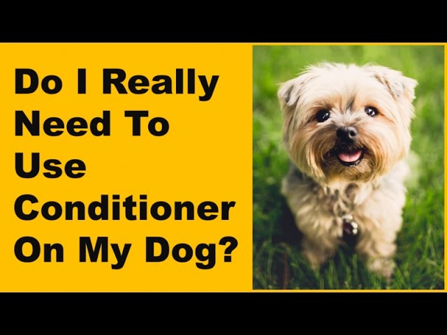 can i use conditioner on dog