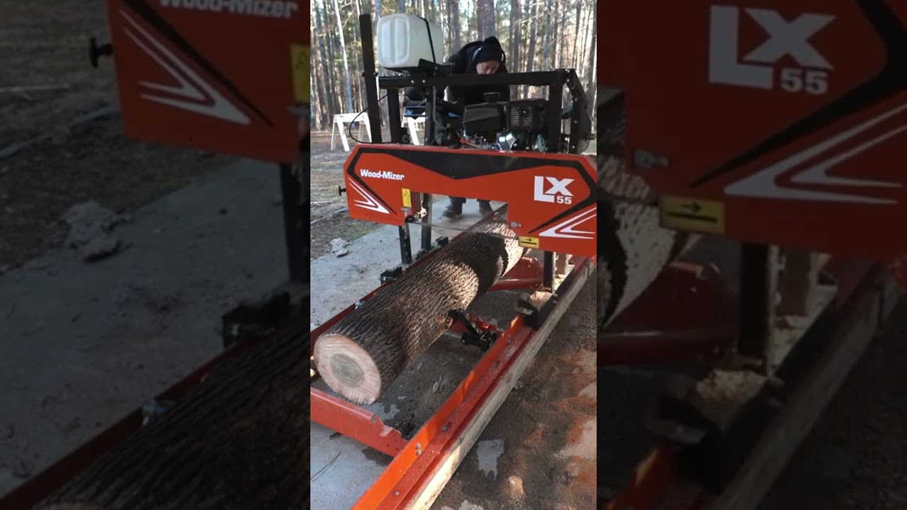 WoodMizer LX55 sawmill milling big Poplar tree 