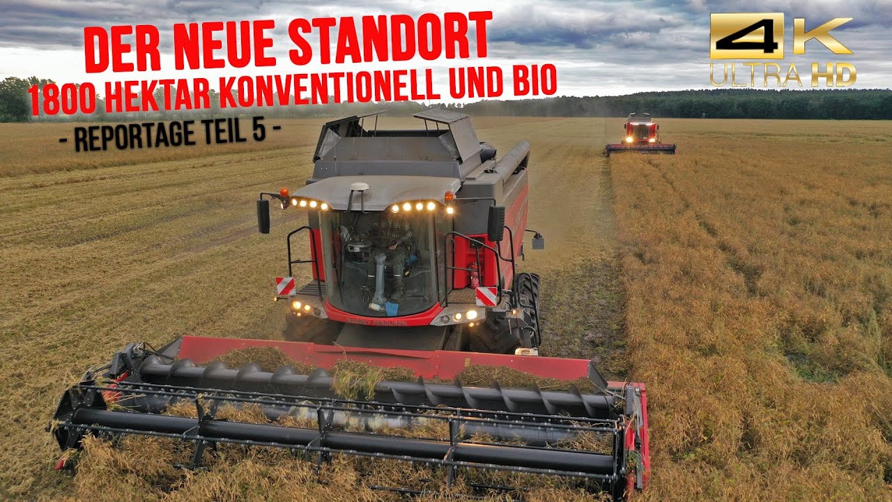 Ruhe Agrar Teil 5: Der neue Standort Picher - Mähdrusch & Bodenbearbeitung [Massey Ferguson Technik]